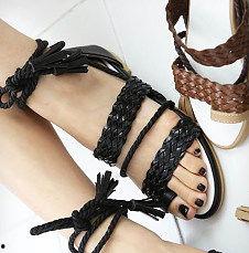 鸽子套环器视频,高效追踪与识别鸽赛高手